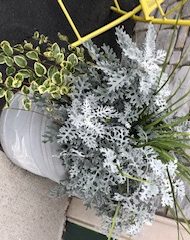 planter